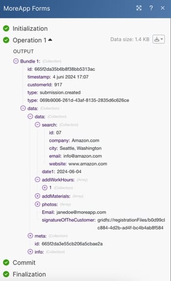 Data Moreapp Forms Make