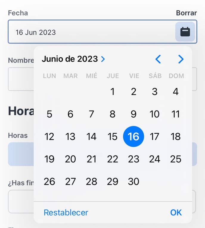 formato-fecha-app-web-app