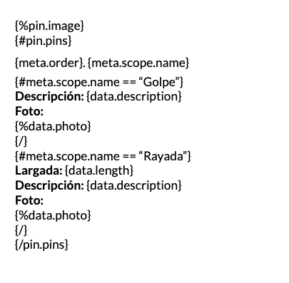 pin-placeholders-informe-word